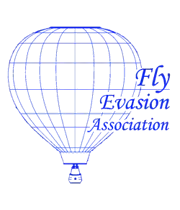 logoflyevasionmini