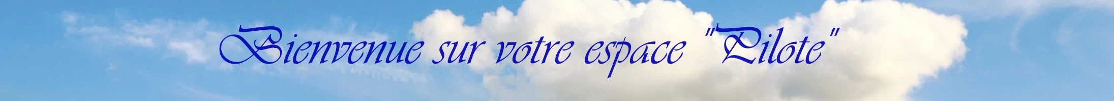 slide pilote bleu